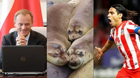 Tusk został przewodniczącym RE