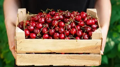 Ceny malin, wiśni, czarnych porzeczek. Rząd myśli o zmianie przepisów