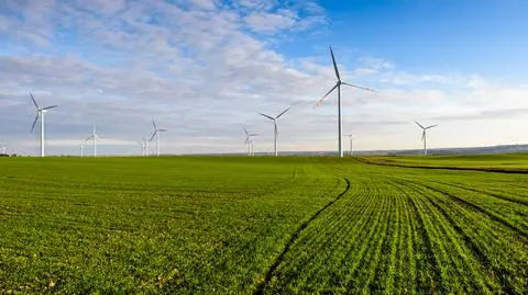 Tchórzewski: Polskę coraz bardziej stać na rozwój OZE