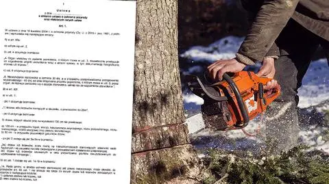 Nowela ustawy o ochronie przyrody i ustawie o lasach