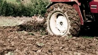 KE potwierdza, że wydłuży okres składania wniosków o dopłaty