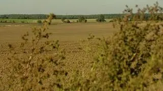 Piechociński: jeszcze w tym roku wejdzie w życie ustawa o ochronie ziemi przed niekontrolowanym wykupem 