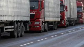Na przejściu z Ukrainą rosną kolejki, przyczyną ma być strajk włoski polskich celników.