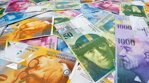 Eksperci krytycznie o propozycjach dla frankowiczów