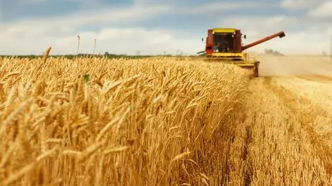 Rolnicy ostrzegają przed umową handlową UE-USA