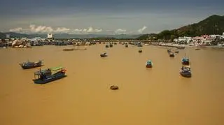 Wietnam jest jednym z państ wytypowanych przez resort gospodarki