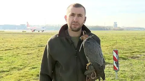 Orły pogromcami dronów