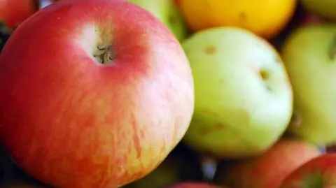 "Rzeczpospolita": Koniec prymatu w eksporcie jabłek