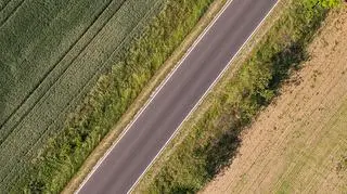 Lasy Państwowe chcą finansować m.in. remonty dróg