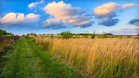 MSWiA: 460 ha ziemi kupili cudzoziemcy w 2015 roku