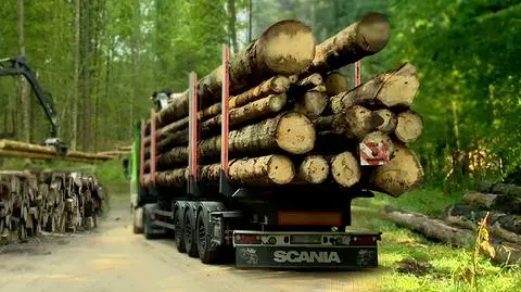 Lasy Państwowe zapowiadają budowę drewnianych domów pod wynajem i stworzenie oferty preferencyjnych kredytów pod budownictwo drewniane