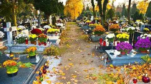 Najchętniej nabywane są chryzantemy i wianuszki z jodły - Bronisze