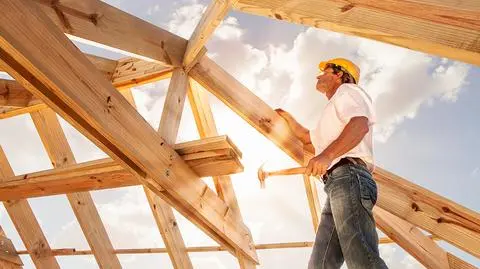 Przez najbliższe sześć lat na trzystu hektarach ziemi należącej do Lasów Państwowych ma powstać nawet 43,5 tysiąca drewnianych domów