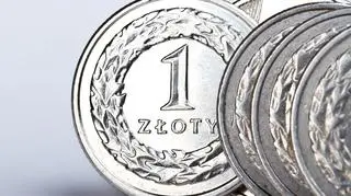 Złoty zyskał na wartości, osłabł tylko wobec funta