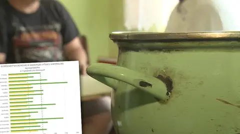 GUS: 14 proc. gospodarstw w Polsce z dochodami poniżej granicy ubóstwa