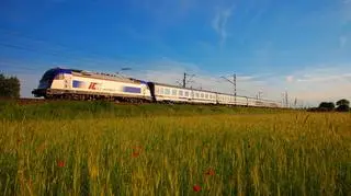 PKP Intercity zwala winę na remontowane tory