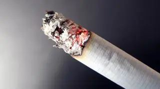 Producent wyrobów tytoniowych planuje odwołać się od decyzji sądu