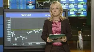 Serwis ekonomiczny TVN CNBC Biznes. Podsumowanie dnia. Relacja Katarzyny Karpy-Świderek z warszawskiej Giełdy Papierów Wartościowych. (TVN CNBC Biznes)
