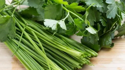 Najczęściej kupowane zioła przez Polaków