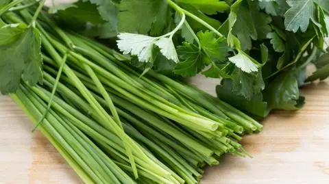 Najczęściej kupowane zioła przez Polaków