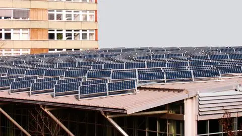 Sejm odrzuca poprawki Senatu. Zapis prosumencki zostaje