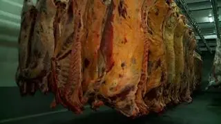 Według ZGWŻ zakaz, wynikający z ustawy o ochronie zwierząt, narusza konstytucję i europejską konwencją praw człowieka