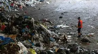 Przed śmieciową rewolucją