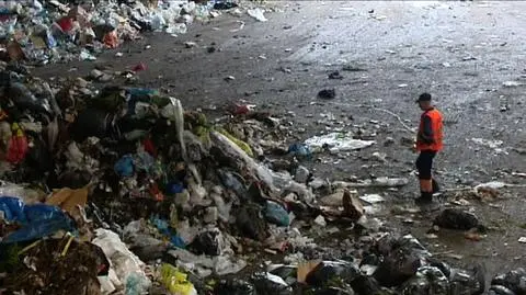 Na starych śmieciach