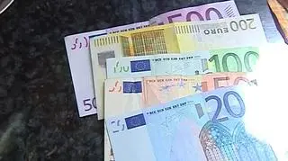 Do strefy euro - jak najszybciej. To zdanie większośći specjalistów. Powinniśmy trochę poczekać - mówi prezes Narodowego Banku Polskiego. Kto ma rację? I w czy podsumowanie korzyści i kosztów przyjęcia wspólnej waluty zawarte w przygotowywanym przez NBP raporcie traci wiarygodność po tym, jak wczoraj stanowisko straciła osoba, która nadzorowała jego powstanie?