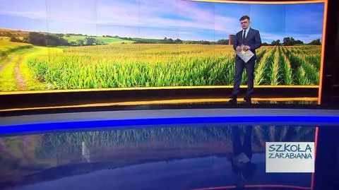 W pierwszym kwartale średnia cena za hektar sięgneła ponad 24 tys. zł