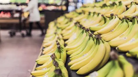Wpływ globalnego ocieplenia na dietę: 500 tys. zgonów do 2050 r.