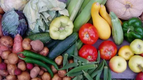 Rośnie produkcja żywności ekologicznej na świecie