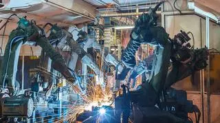 Europosłowie chcą przepisów UE dot. robotów i sztucznej inteligencji