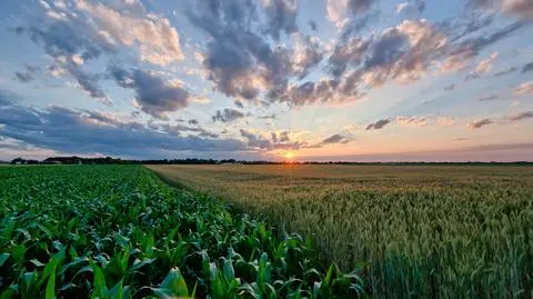 Rolnicy z łatwiejszym dostępem do kredytów