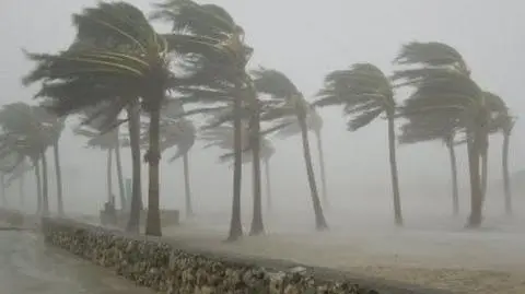 Klęski żywiołowe spowodowały w 2015 roku 90 mld dolarów strat