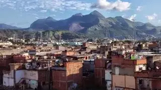 Organizacja Narodów Zjednoczonych ds. Rolnictwa i Wyżywienia uznała Brazylię za znakomity przykład skutecznej walki z głodem i skrajnym ubóstwem