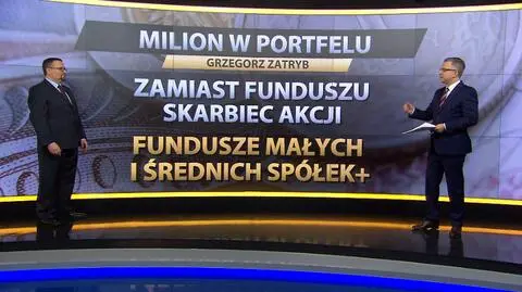 Program Milion w Portfelu