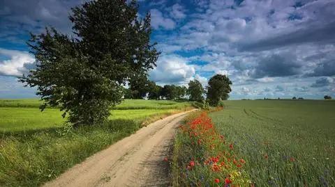 Prezes Agencji Nieruchomości Rolnych odwołany