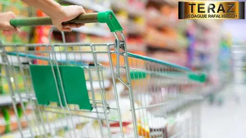 02.06 Polski przemysł w stagnacji