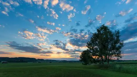 ANR sprzedała ok. 77 tys. hektarów. Najwięcej w Zachodniopomorskiem