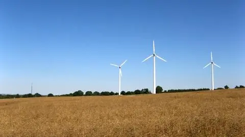 Wiatr zasila Danię. Produkuje 140 proc. zapotrzebowania na energię