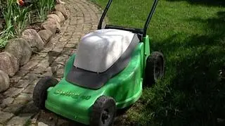 Nic tak nie koi nerwów jak praca w ogrodzie i nie cieszy bardziej niż efekt pracy własnych rąk. Kolejny długi majowy weekend pokazuje, że pokochaliśmy ogrody. Nawozy, sekatory i sadzonki idą jak świeże bułeczki - zarówno w profesjonalnych sklepach ogrodniczych jak i ogrodniczych częściach supermarketów. To ile kosztuje puszczenie wodzy wyobraźni przy aranżacji ogrodu sprawdzał Patrycjusz Wyżga. 