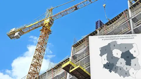 Niewypłacalność. Cierpi na nią coraz więcej polskich firm