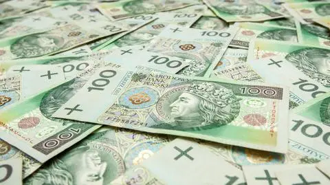 Gospodarcze obietnice wyborcze. "Opowiadają bajki"