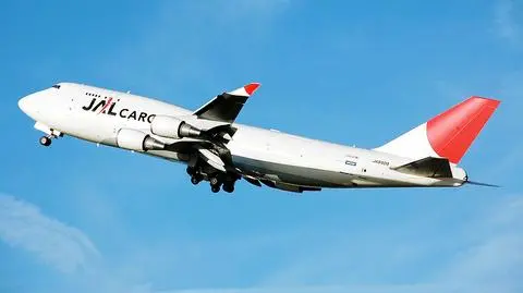 Pilot zrobił selfie ze stewardessą w czasie lotu. Został zawieszony