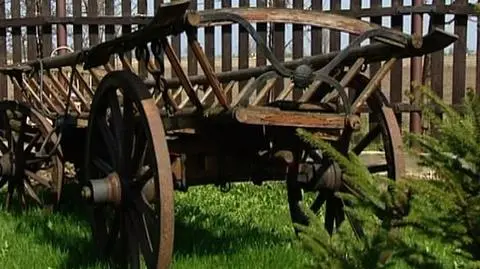 Czyste powietrze, czysty zysk