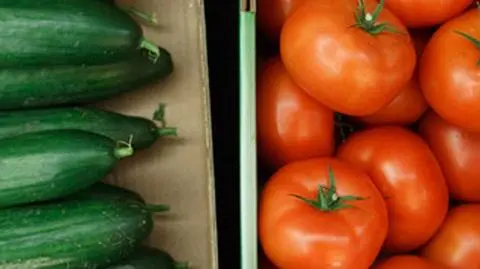 Rosja nie wpuszcza polskich warzyw, nie wierzy ekspertyzom