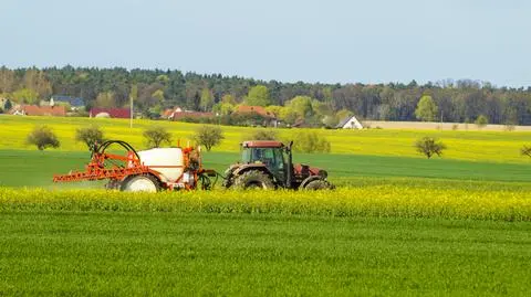 Susza mniejsza, ale nadal niebezpieczna dla rolników