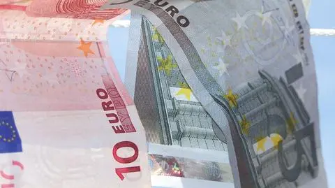 PiS chce euro -referendum