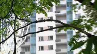 Kupno mieszkania bez strachu wątpliwości i manipluacjii - taką rzeczywistość maja wprowadzić proponowane przez rząd prospekty developerskie. Ale czy oprócz masy informacji będą miały one jakąkolwiek moc?